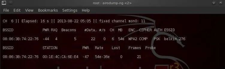 Screenshot of a terminal displaying system information and network configuration details.