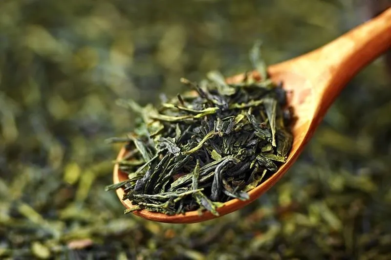 Green tea leaves on a wooden spoon.