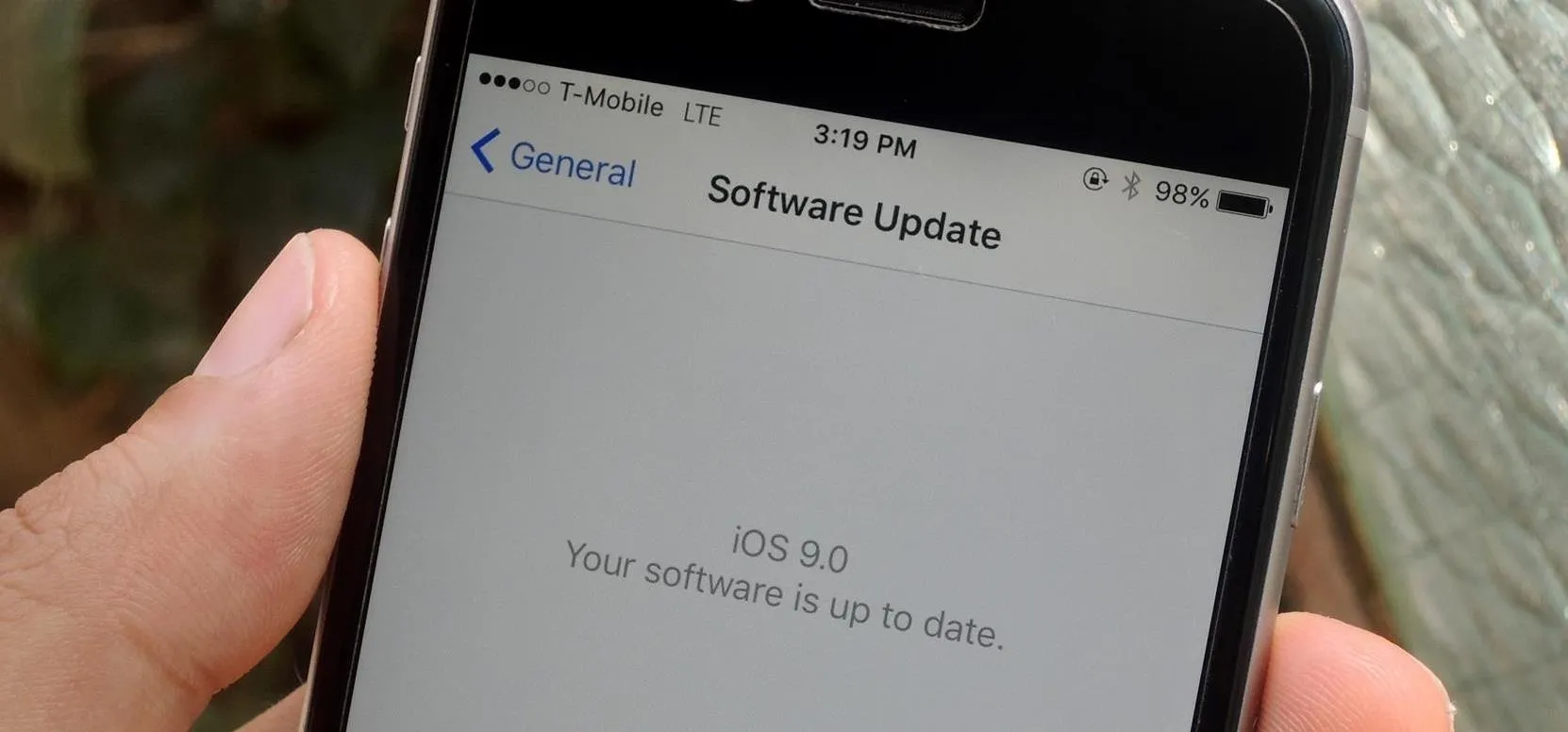 Software update screen showing device is up to date on iOS 8.0