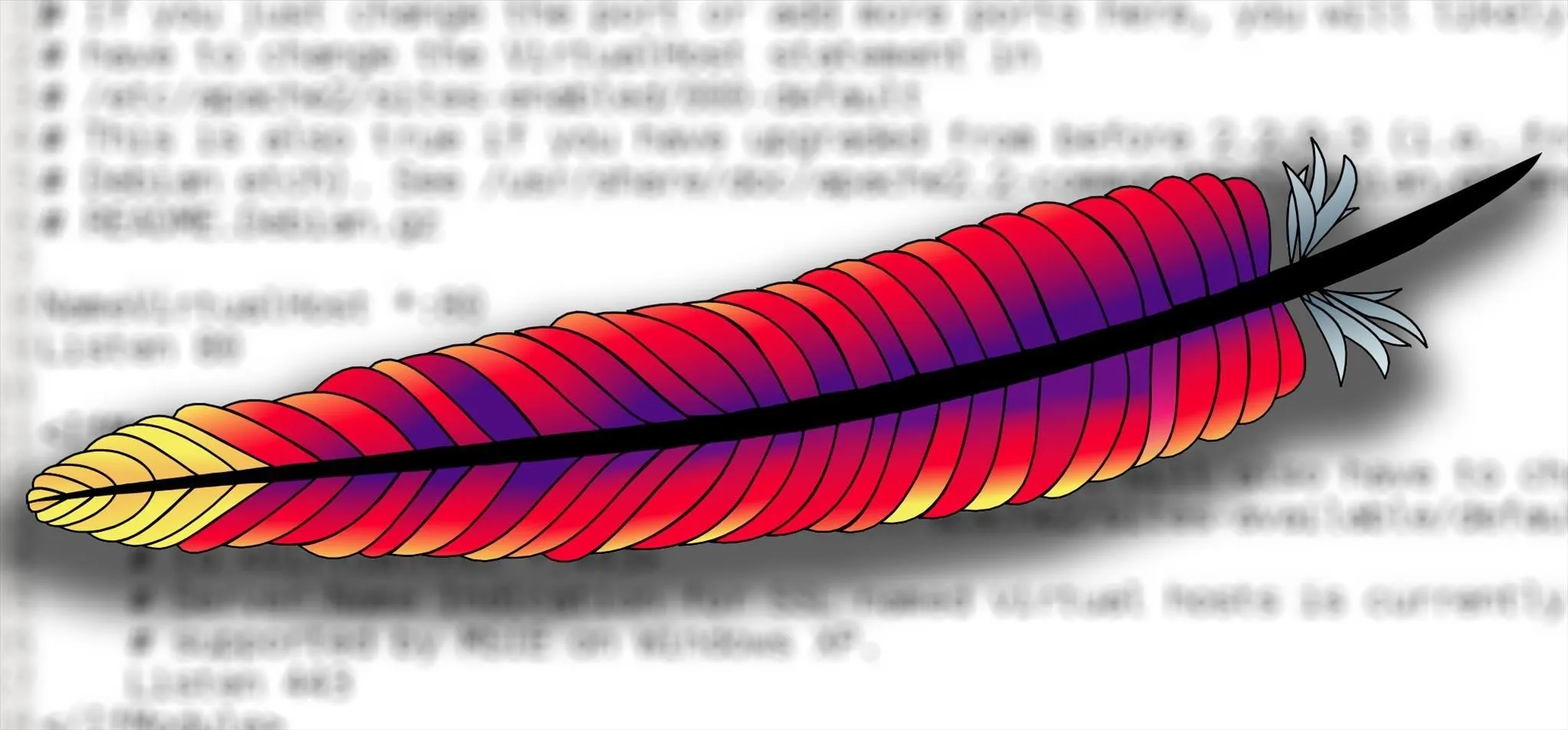 Colorful feather illustration with a dark background.