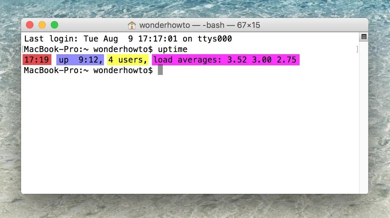 Terminal window displaying system uptime and user statistics on a Mac.