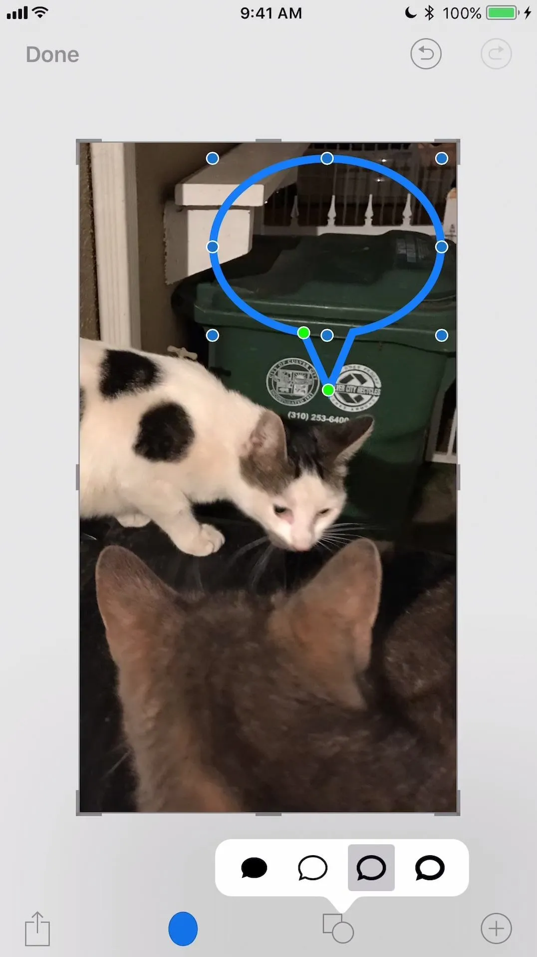 Two cats interacting, one black and white and the other gray, with a green recycling bin in the background.
