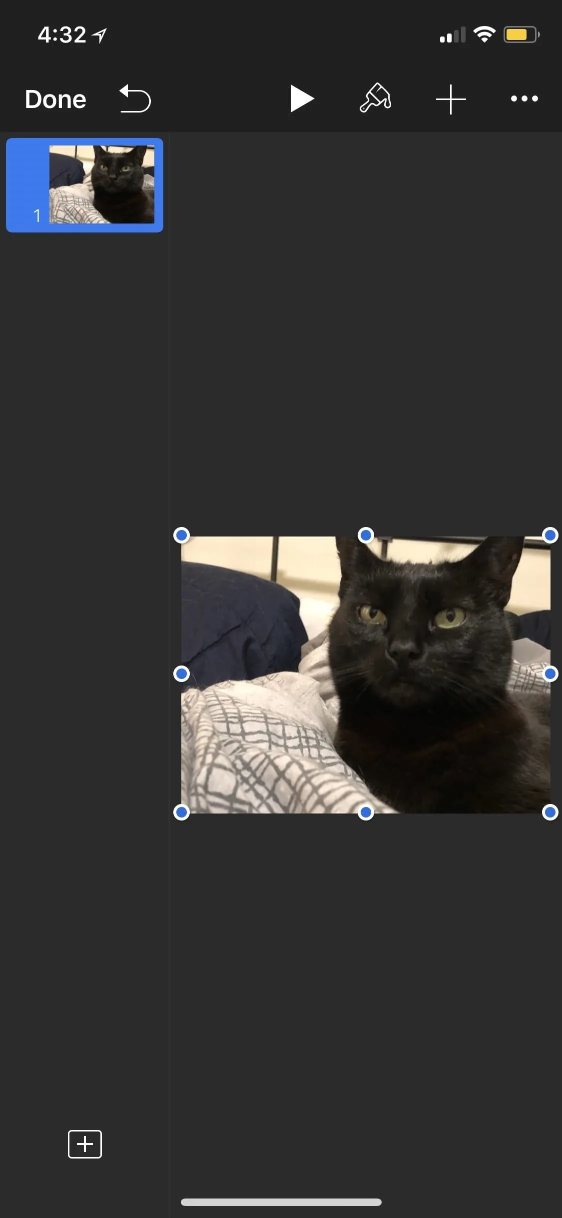 A black cat resting on a blanket.