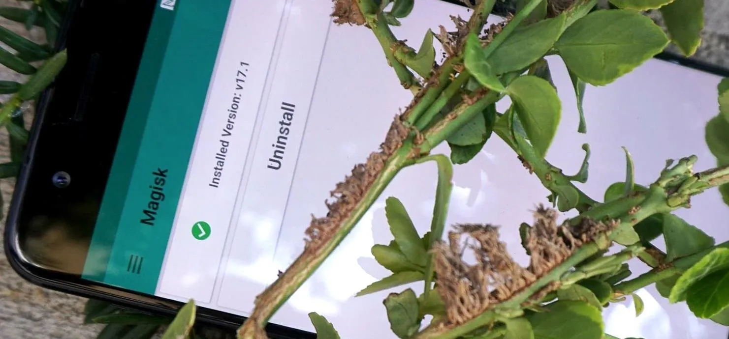 Plant disease identification app in use on a smartphone surrounded by greenery.