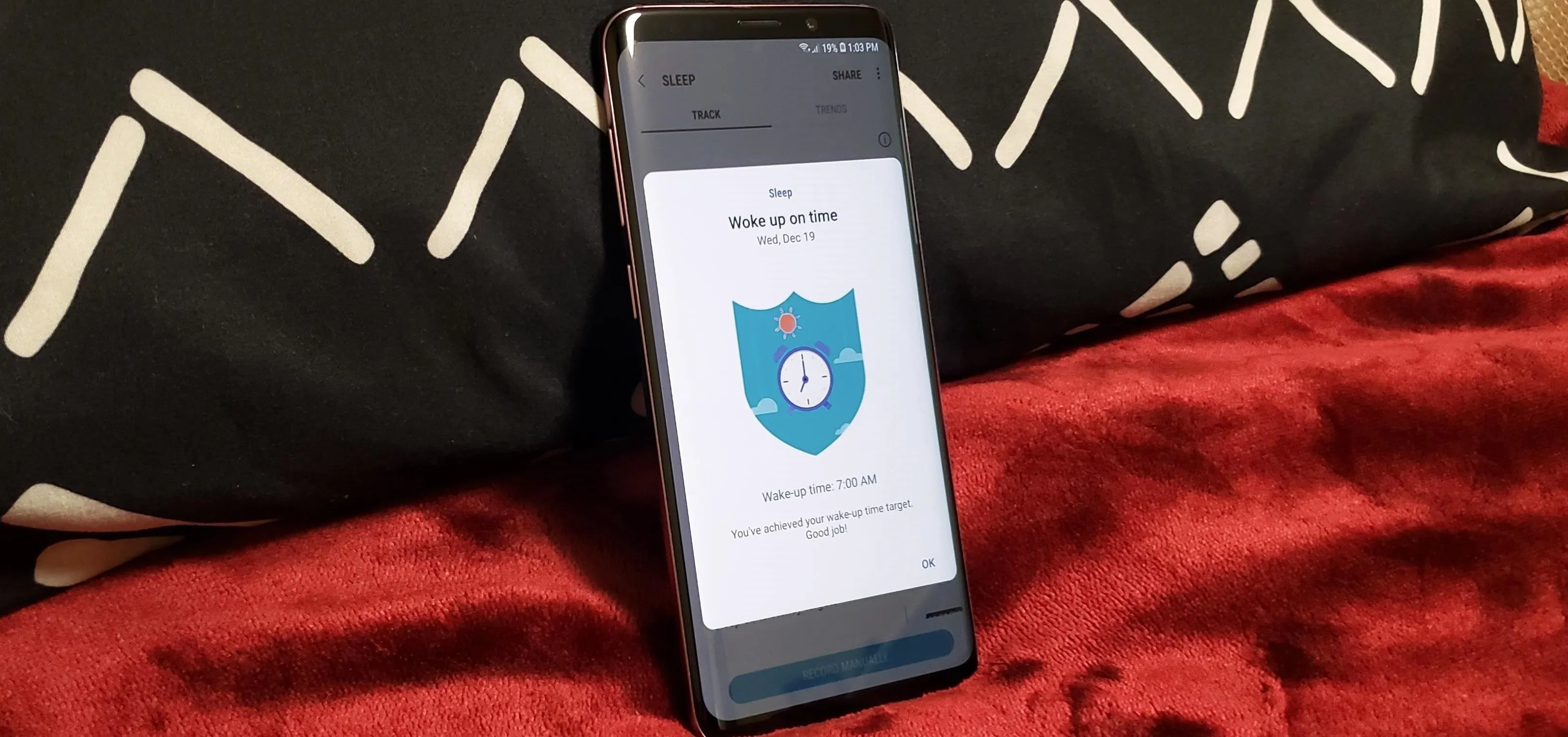 Smartphone displaying a security app on a red fabric surface.