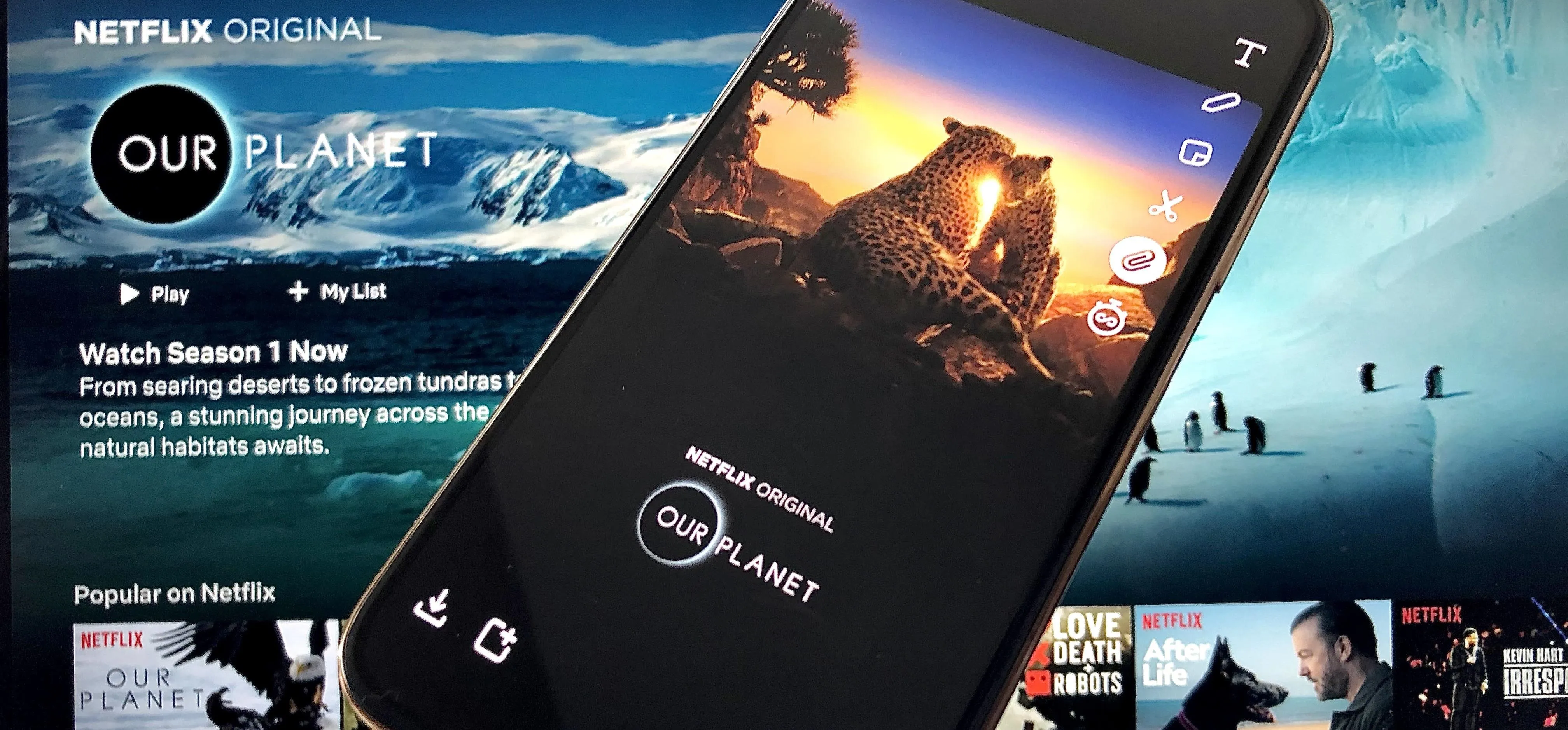 "Streaming interface of 'Our Planet' on Netflix displayed on a smartphone."