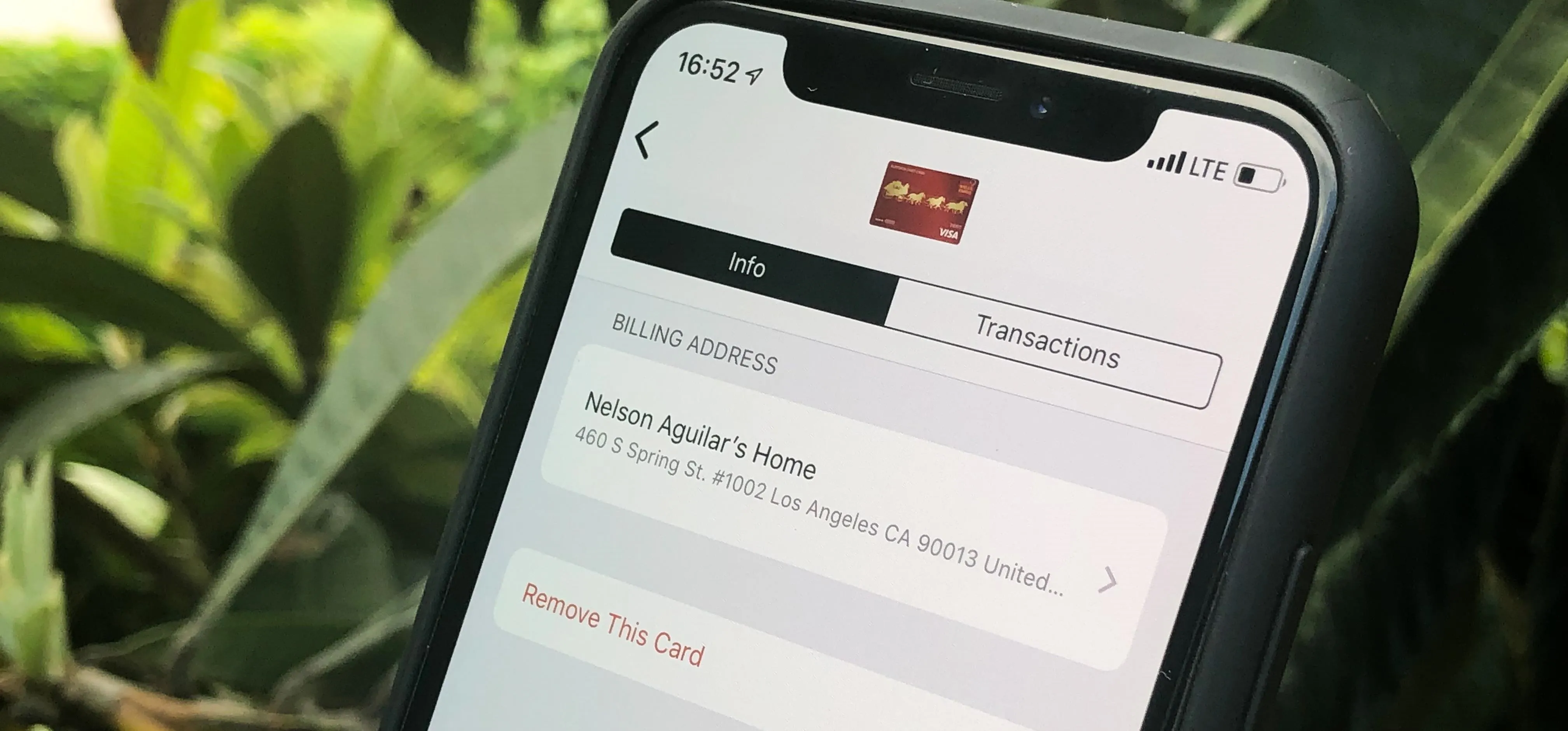 Mobile phone displaying a payment app interface among green foliage.