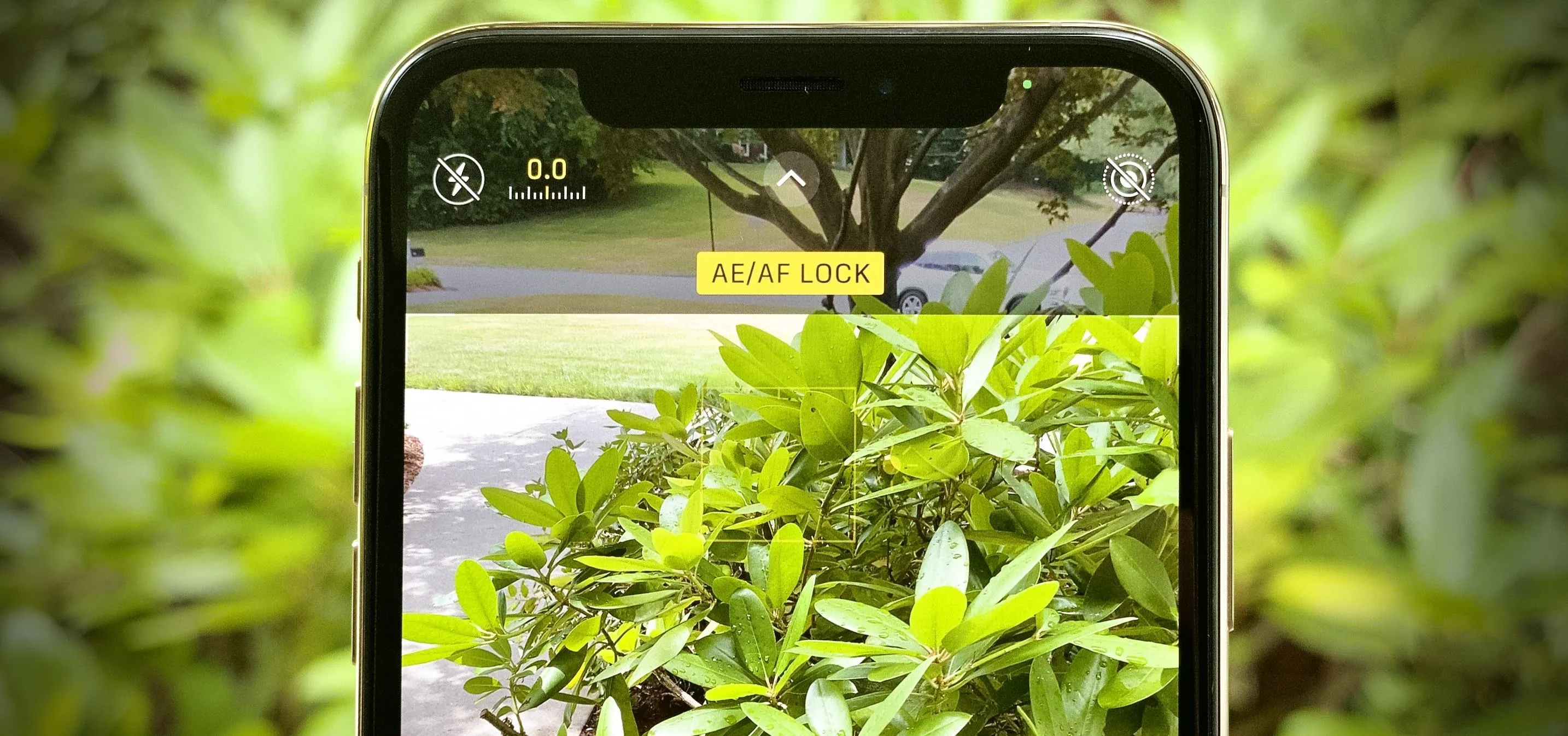 Smartphone displaying a camera view of lush green foliage.