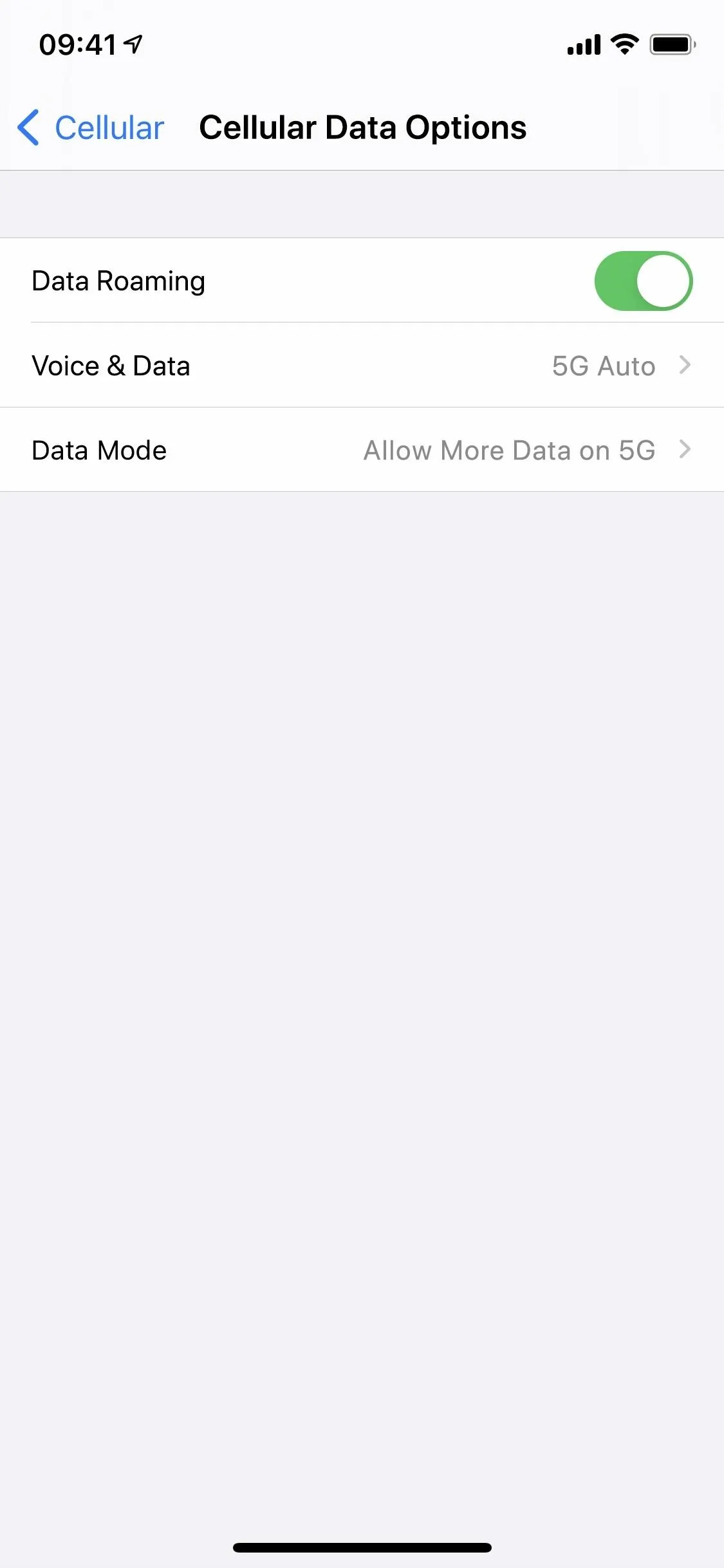 Settings screen displaying data options for a mobile device, including toggles for data use.