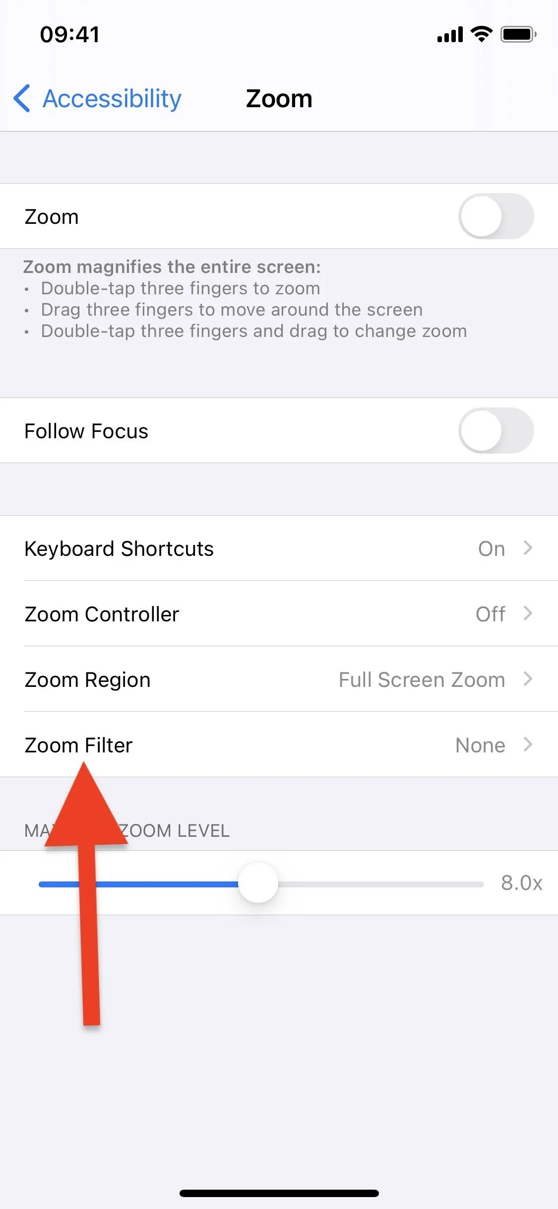 Accessibility settings for Zoom feature on a mobile device.