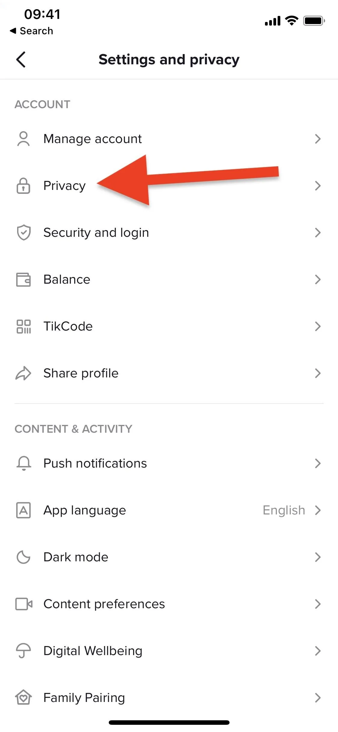 Settings menu with arrow pointing to "Privacy" option.