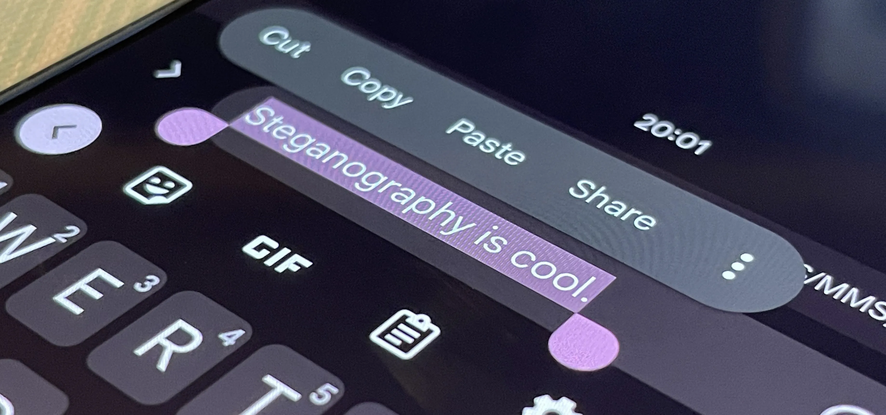 Text message on a smartphone screen reading "Steganography is cool" with options for cut, copy, paste, and share.