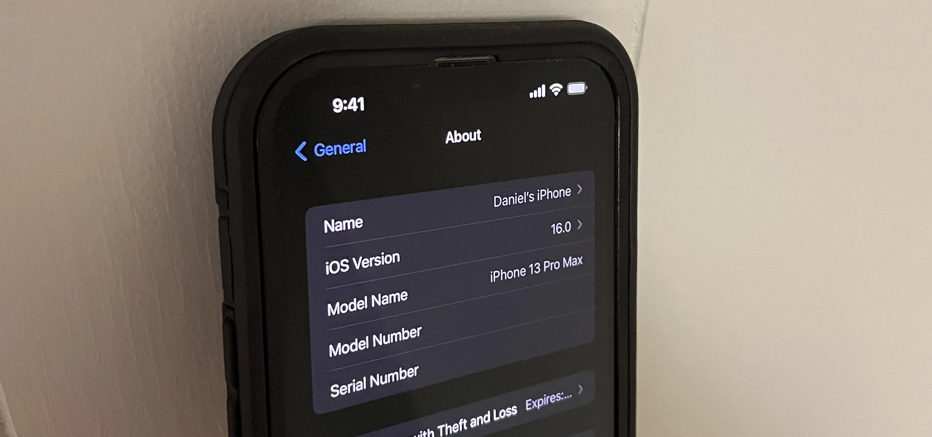 Phone screen displaying system information and settings.