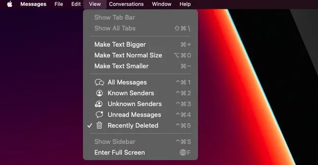 Messages app interface showing view options including text size adjustments and deleted messages.
