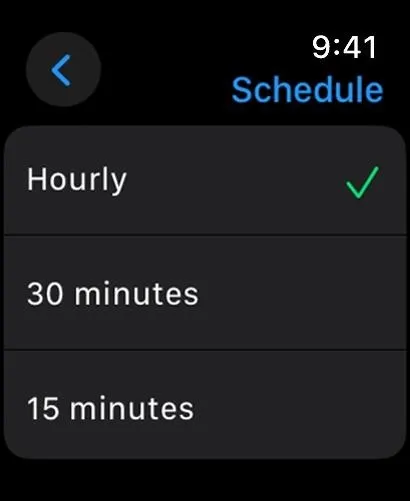 Schedule options for time intervals: Hourly, 30 minutes, 15 minutes.