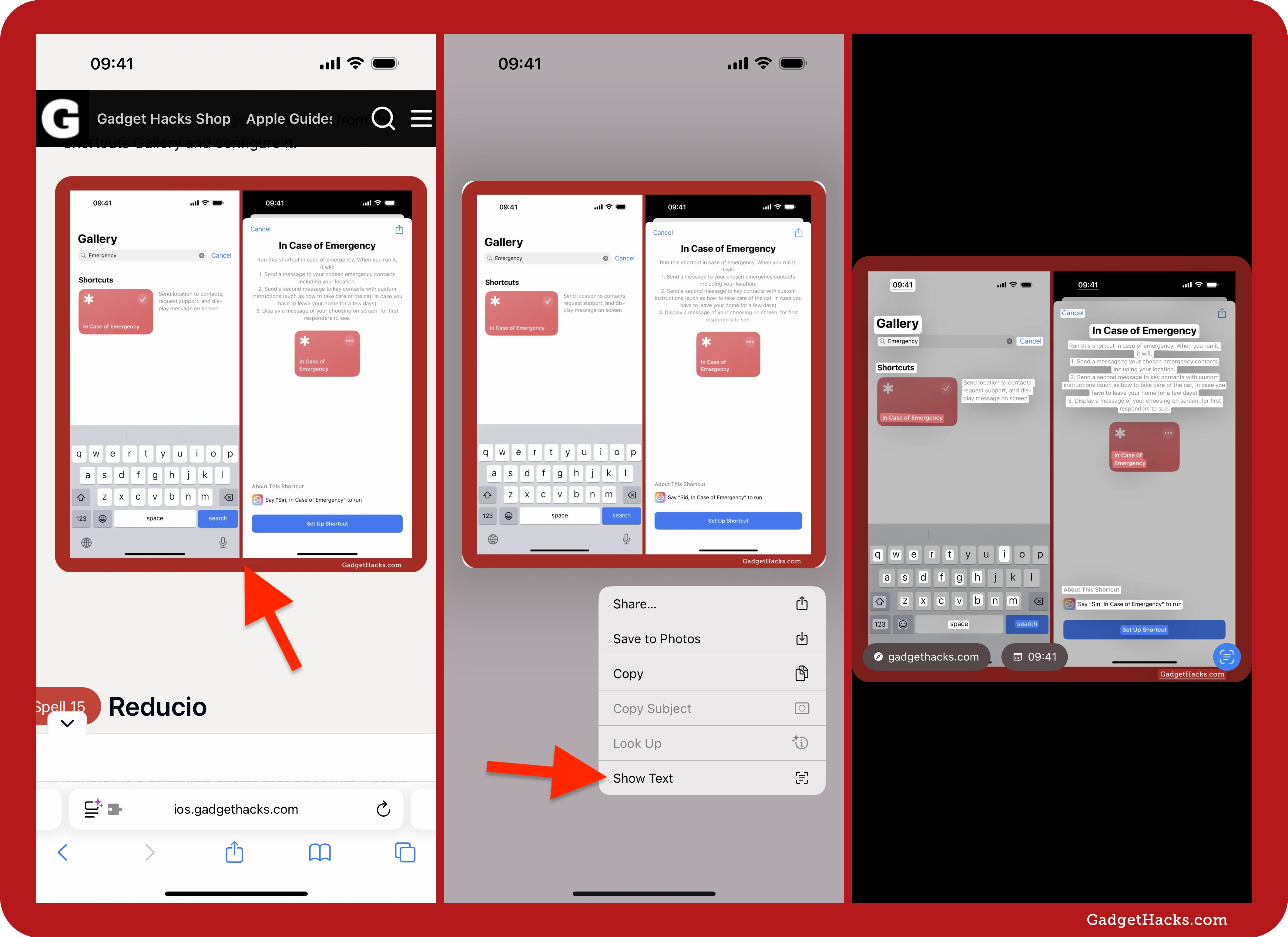 iPhone screenshots showing how to use Safari’s Live Text feature to extract text from images of web pages.